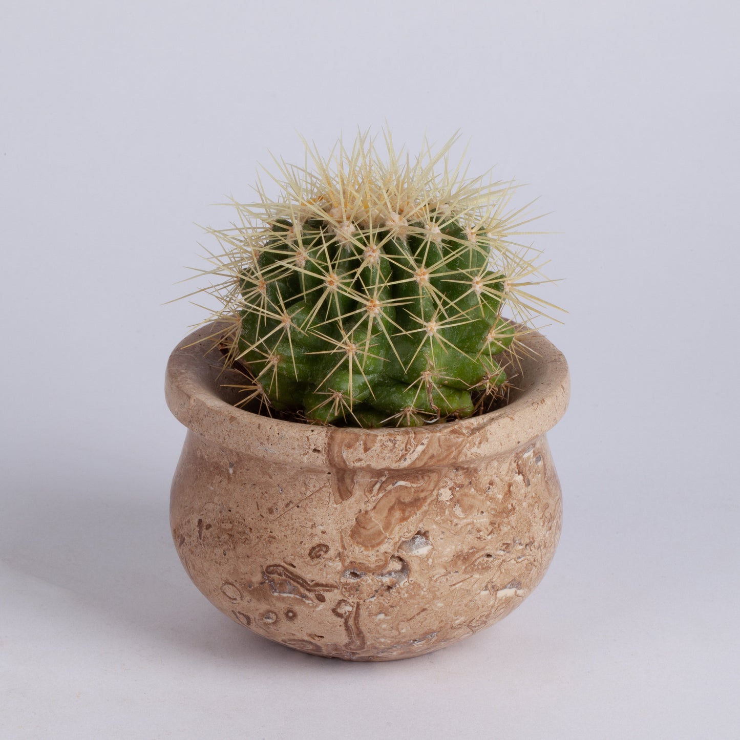 Travertine Succulent Pot / Travertine Mini Pot / Small Pot / Brown-Yellow-Beige / 3.5" / Marble Decoration / Home Accessories / Home Gift