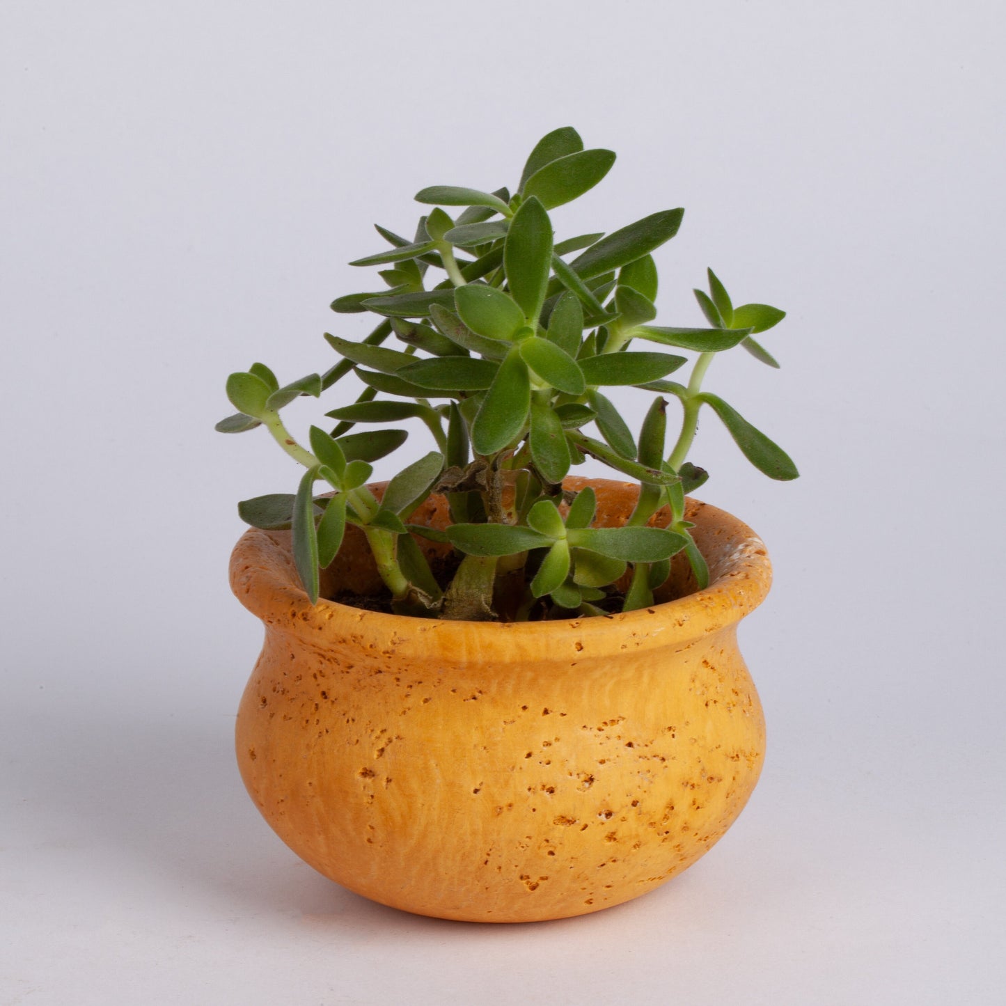 Travertine Succulent Pot / Travertine Mini Pot / Small Pot / Brown-Yellow-Beige / 3.5" / Marble Decoration / Home Accessories / Home Gift