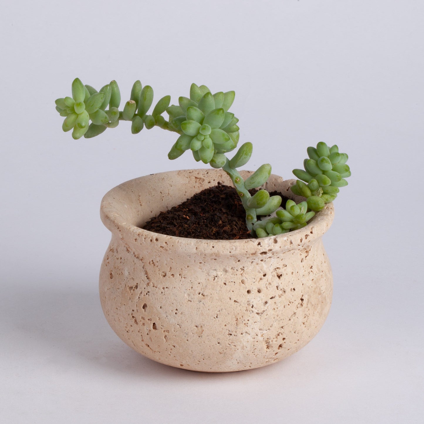 Travertine Succulent Pot / Travertine Mini Pot / Small Pot / Brown-Yellow-Beige / 3.5" / Marble Decoration / Home Accessories / Home Gift